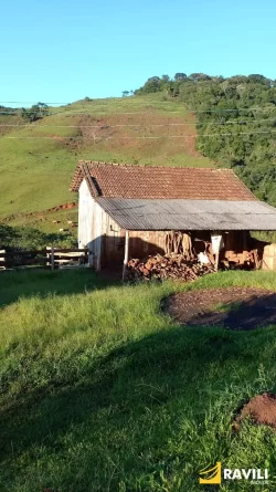 Sitio à Venda na Linha Celso Ramos Interior de Joaçaba.
