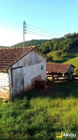 Sitio à Venda na Linha Celso Ramos Interior de Joaçaba.