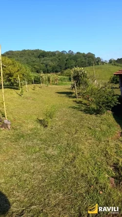Sitio à Venda na Linha Celso Ramos Interior de Joaçaba.