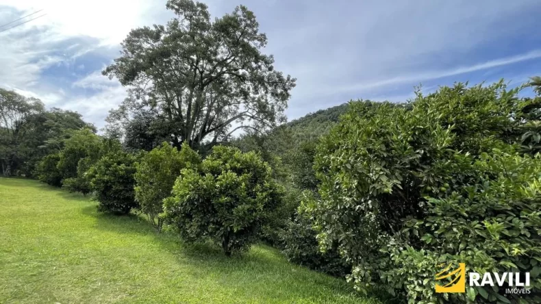 Sitio Encantador à Venda!