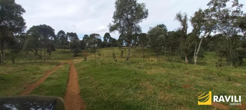Fazenda à Venda nos Campos de Água Doce.