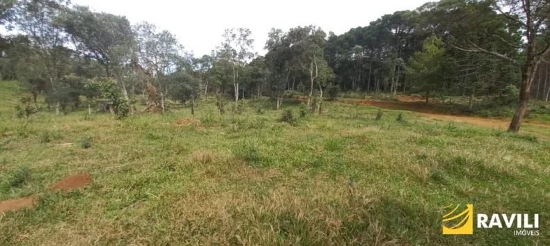 Fazenda à Venda nos Campos de Água Doce.