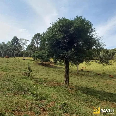 Fazenda à Venda nos Campos de Água Doce.