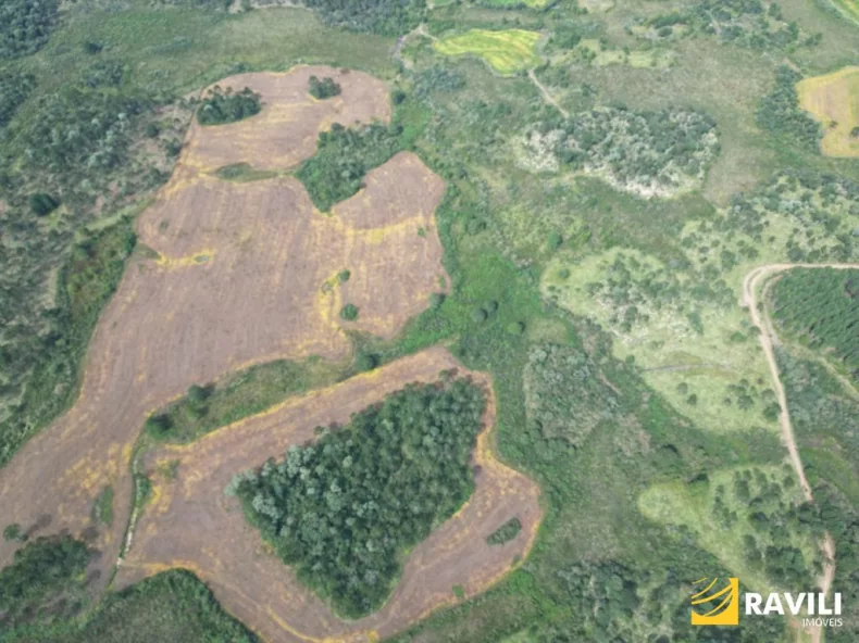 Fazenda à Venda nos Campos de Água Doce.
