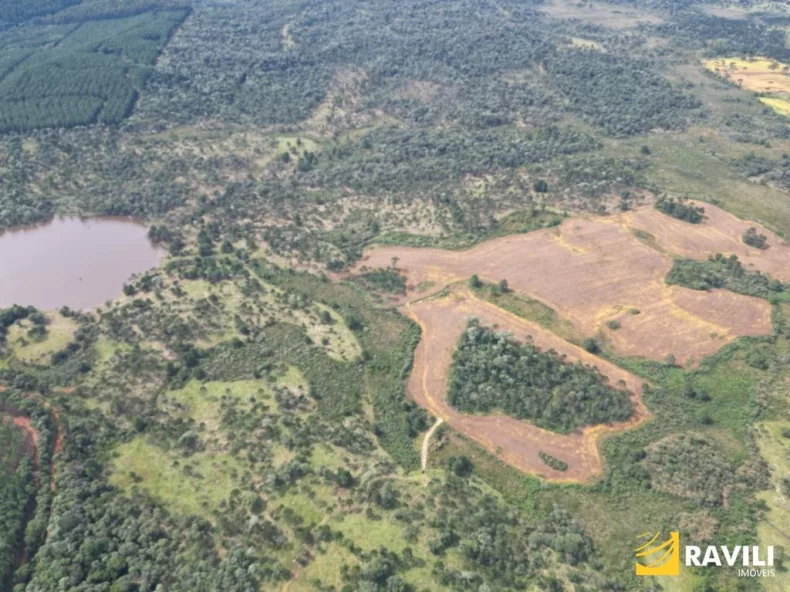Fazenda à Venda nos Campos de Água Doce.