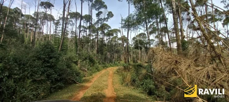 Fazenda à Venda nos Campos de Água Doce.