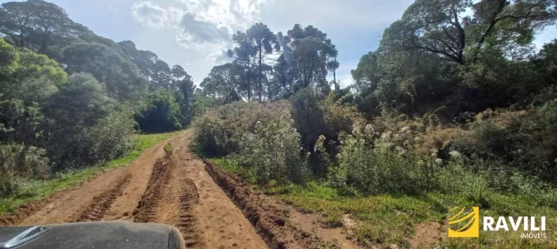 Fazenda à Venda nos Campos de Água Doce.