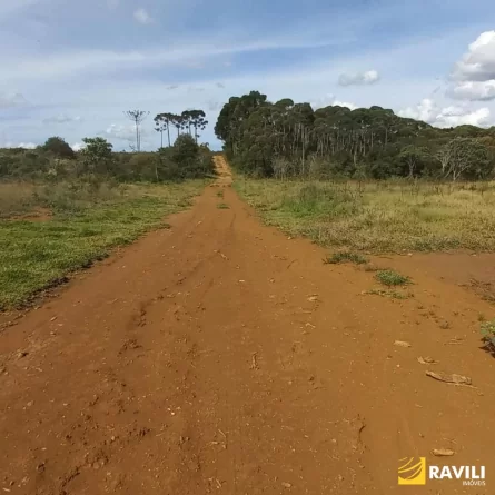 Fazenda à Venda nos Campos de Água Doce.