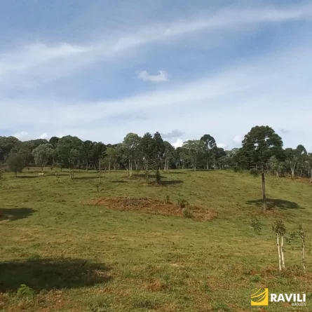 Fazenda à Venda nos Campos de Água Doce.
