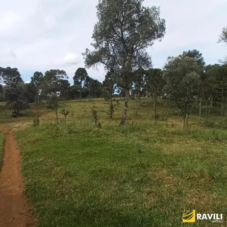 Fazenda à Venda nos Campos de Água Doce.