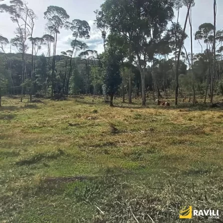 Fazenda à Venda nos Campos de Água Doce.