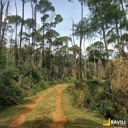 Fazenda à Venda nos Campos de Água Doce.