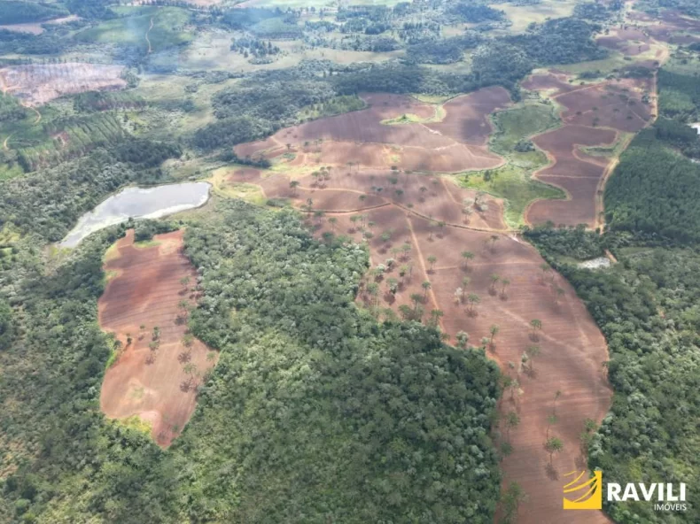Fazenda com 479 Hectares à Venda em General Carneiro.