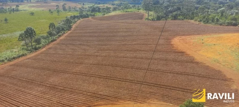 Fazenda com 479 Hectares à Venda em General Carneiro.