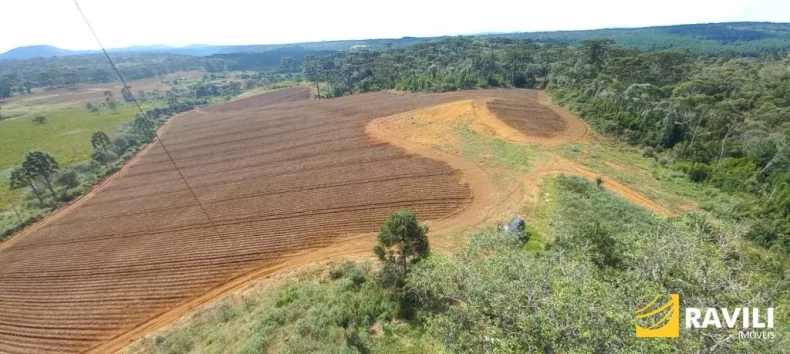 Fazenda com 479 Hectares à Venda em General Carneiro.