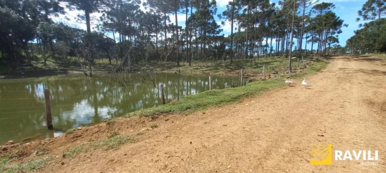 Fazenda com 479 Hectares à Venda em General Carneiro.