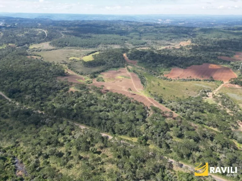 Fazenda com 479 Hectares à Venda em General Carneiro.