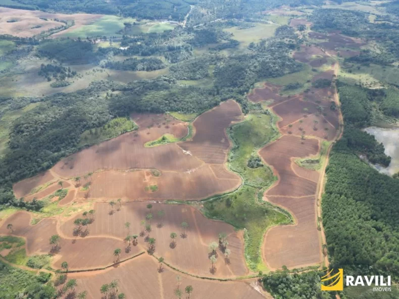 Fazenda com 479 Hectares à Venda em General Carneiro.