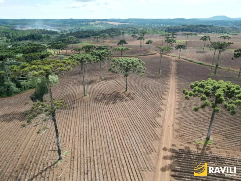 Fazenda com 479 Hectares à Venda em General Carneiro.