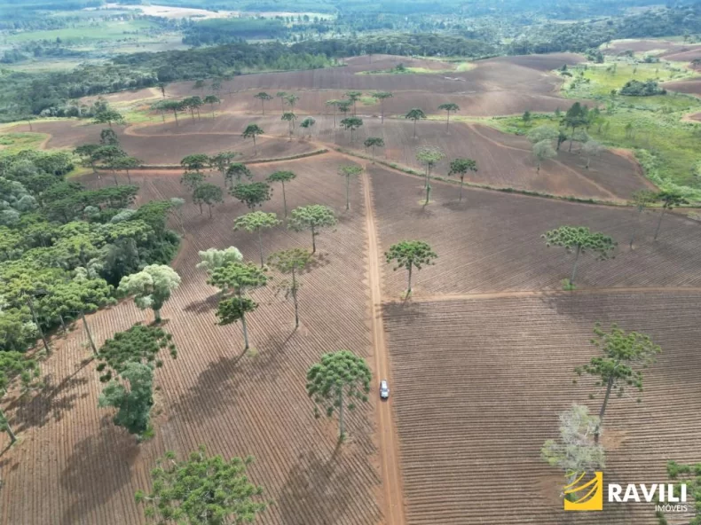 Fazenda com 479 Hectares à Venda em General Carneiro.