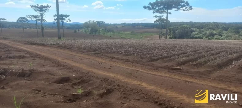 Fazenda com 479 Hectares à Venda em General Carneiro.