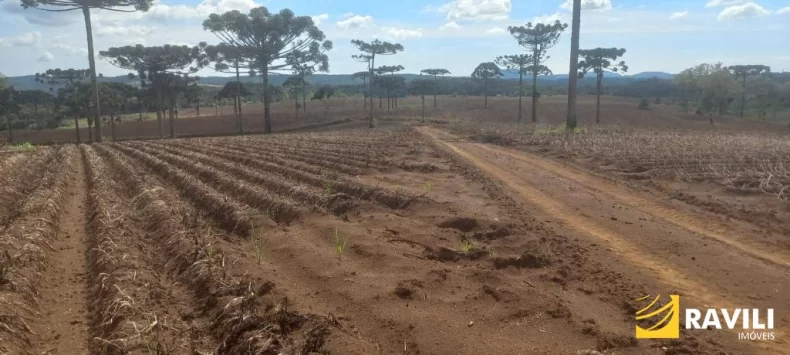 Fazenda com 479 Hectares à Venda em General Carneiro.