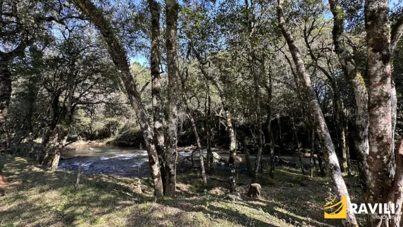 Propriedade com Rio e Cachoeira, 1 Alqueire!