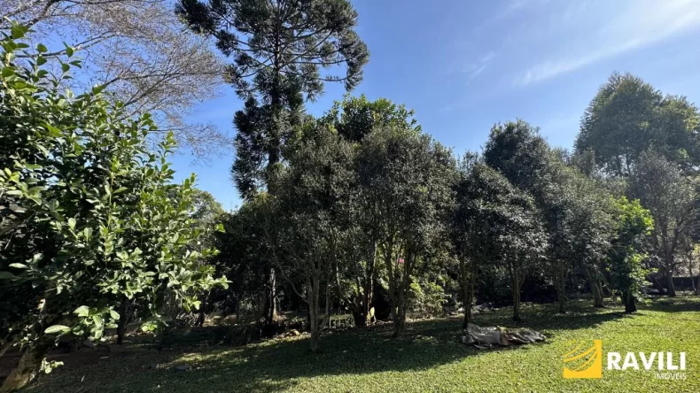Propriedade com Rio e Cachoeira, 1 Alqueire!