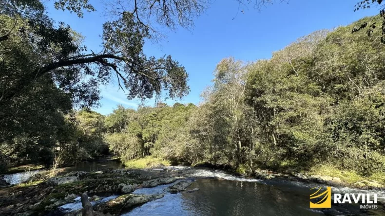 Propriedade com Rio e Cachoeira, 1 Alqueire!