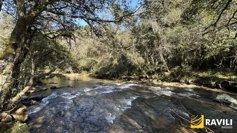 Propriedade com Rio e Cachoeira, 1 Alqueire!