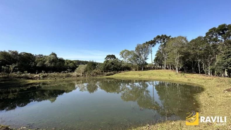 Propriedade com Rio e Cachoeira, 1 Alqueire!