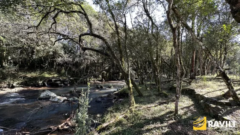 Propriedade com Rio e Cachoeira, 1 Alqueire!