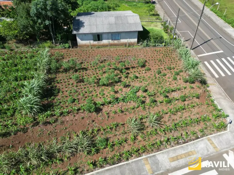  Terreno à Venda no Bairro São Brás, Joaçaba.