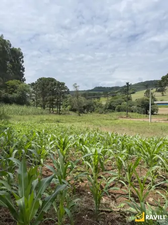 Sítio Exclusivo em Água Doce à Venda!