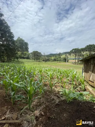 Sítio Exclusivo em Água Doce à Venda!