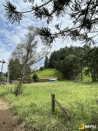 Sítio Exclusivo em Água Doce à Venda!