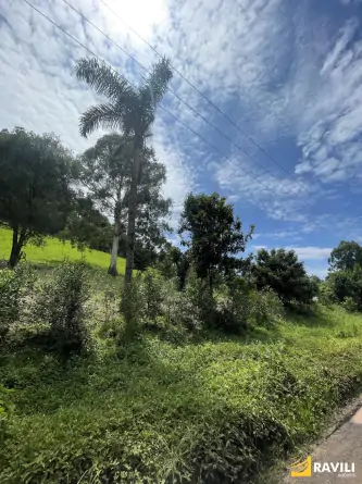 Sítio Exclusivo em Água Doce à Venda!