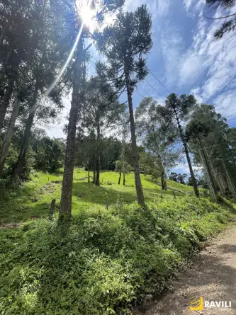 Sítio Exclusivo em Água Doce à Venda!