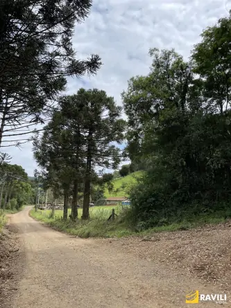 Sítio Exclusivo em Água Doce à Venda!