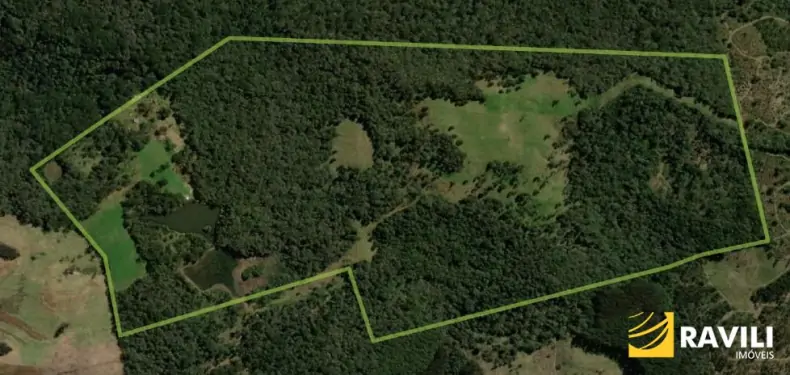 Exclusividade - Fazenda à Venda em Catanduvas.