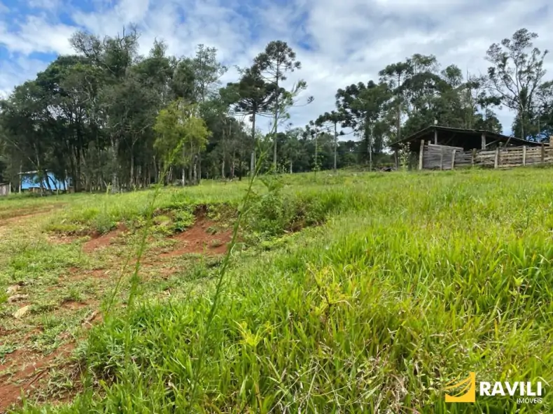 Exclusividade - Fazenda à Venda em Catanduvas.