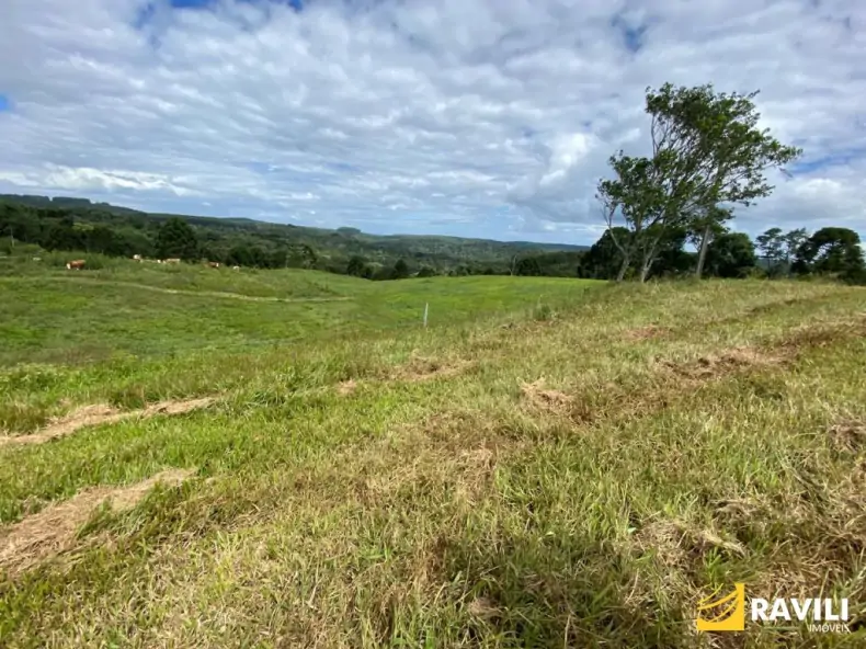 Exclusividade - Fazenda à Venda em Catanduvas.