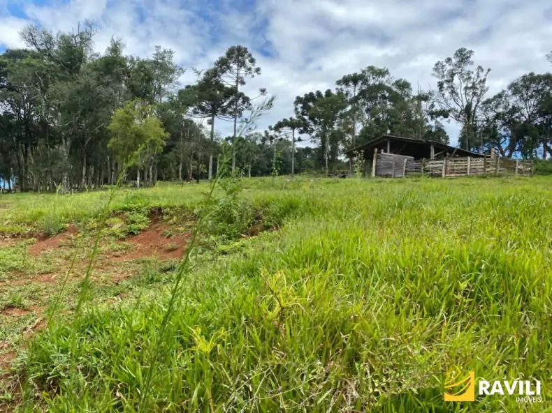Exclusividade - Fazenda à Venda em Catanduvas.