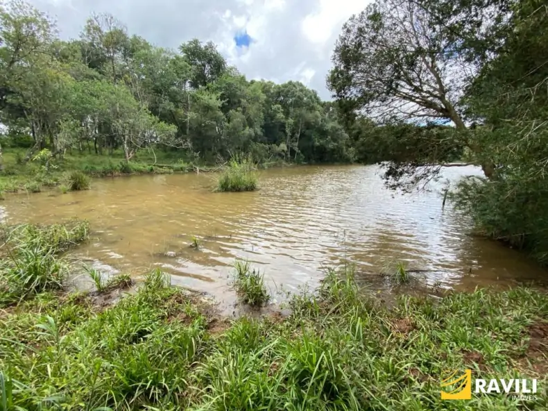 Exclusividade - Fazenda à Venda em Catanduvas.