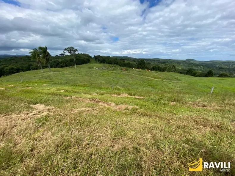 Exclusividade - Fazenda à Venda em Catanduvas.