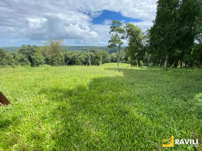 Exclusividade - Fazenda à Venda em Catanduvas.
