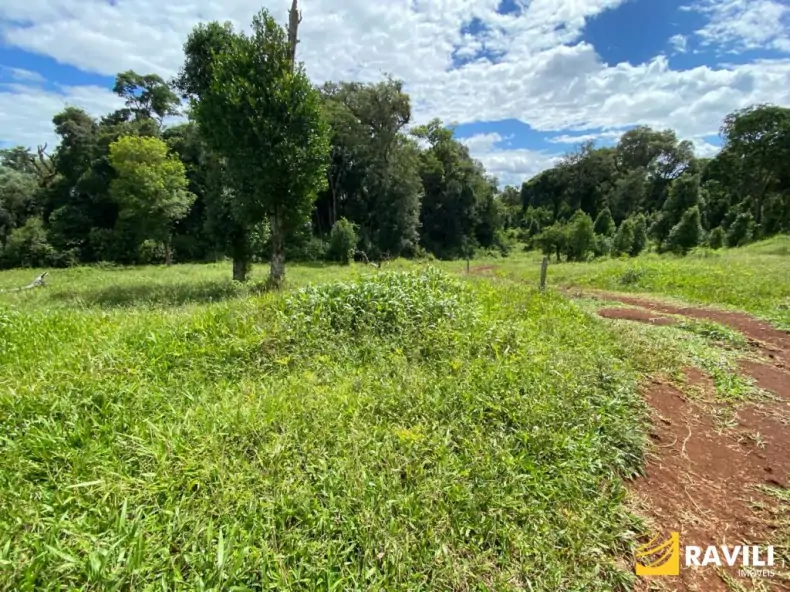 Exclusividade - Fazenda à Venda em Catanduvas.