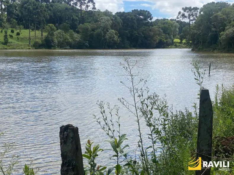 Exclusividade - Fazenda à Venda em Catanduvas.