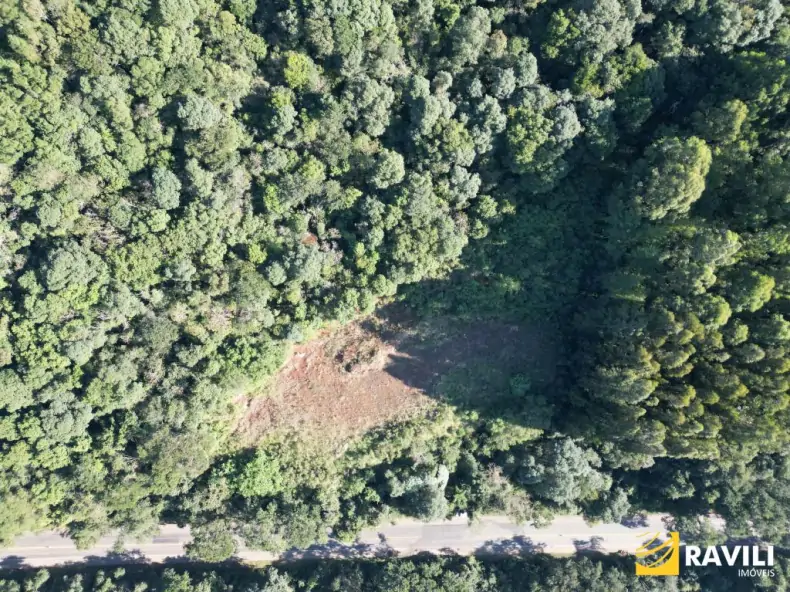 Terreno à Venda as Margens da BR 282!