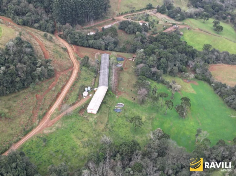 À Venda Sítio Com Uma Vasta Área de 125.964,00 m² em Lacerdópolis SC.